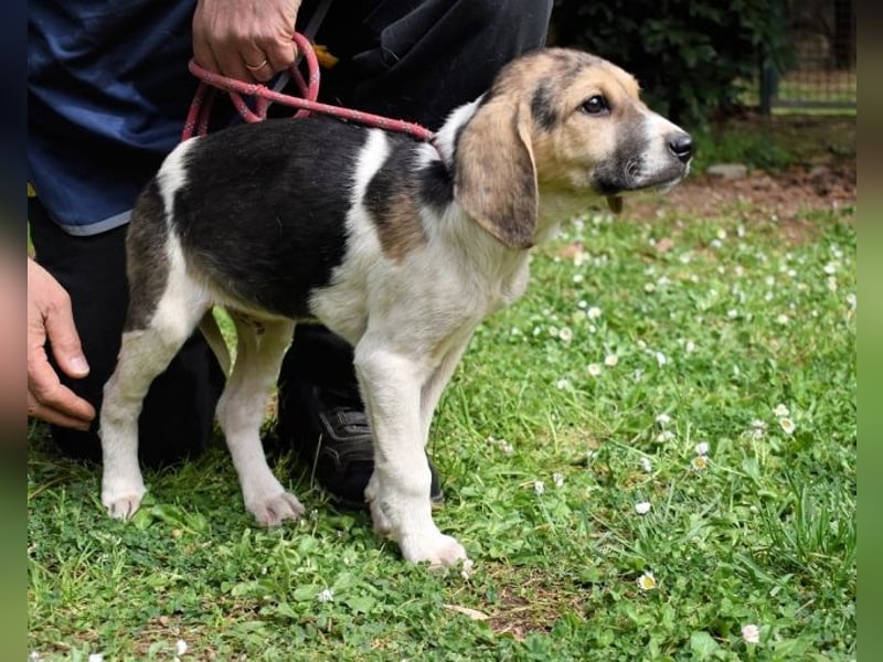 Wasker - Als Mama noch bei uns war