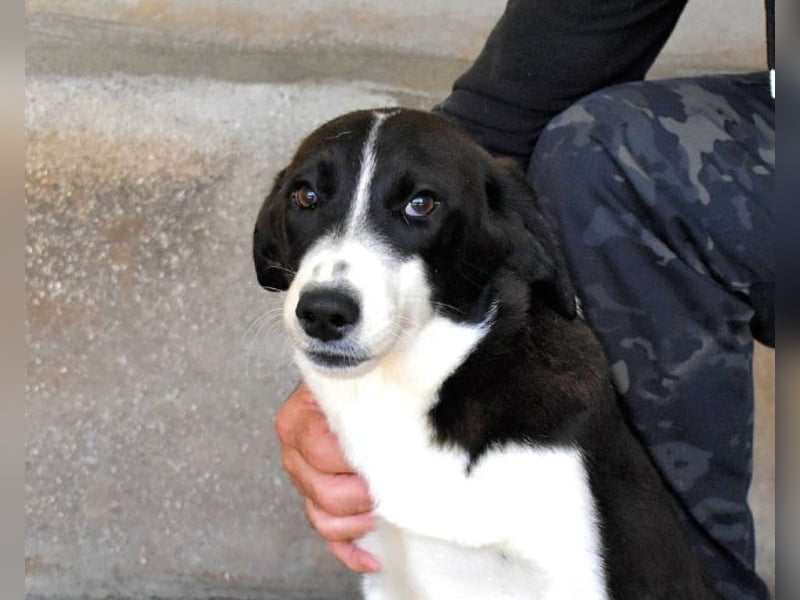 Dorezia - Teamplayerin sucht Stammplatz