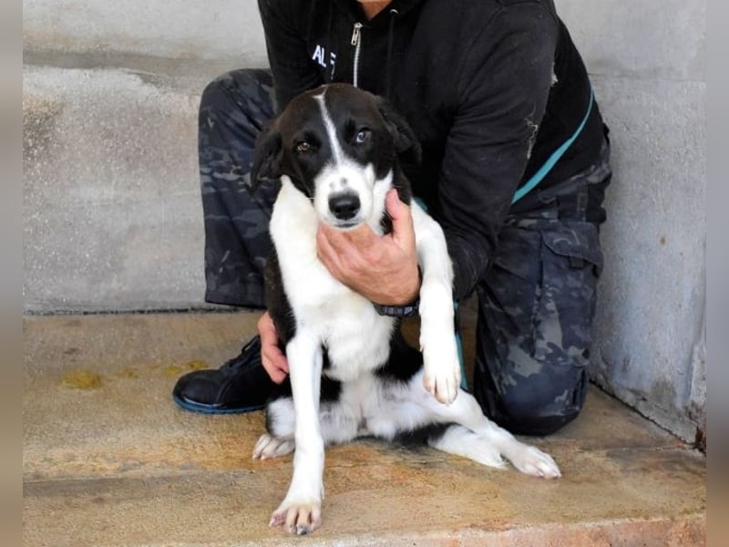 Dorezia - Teamplayerin sucht Stammplatz