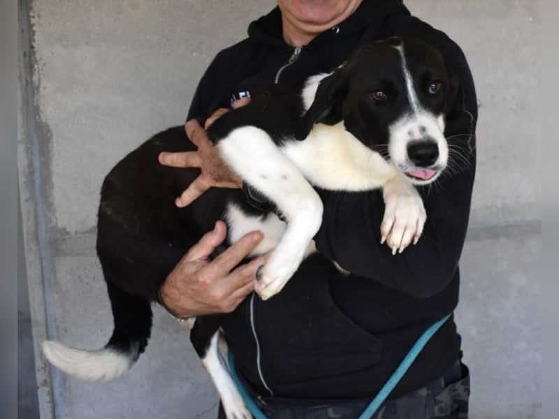 Dorezia - Teamplayerin sucht Stammplatz