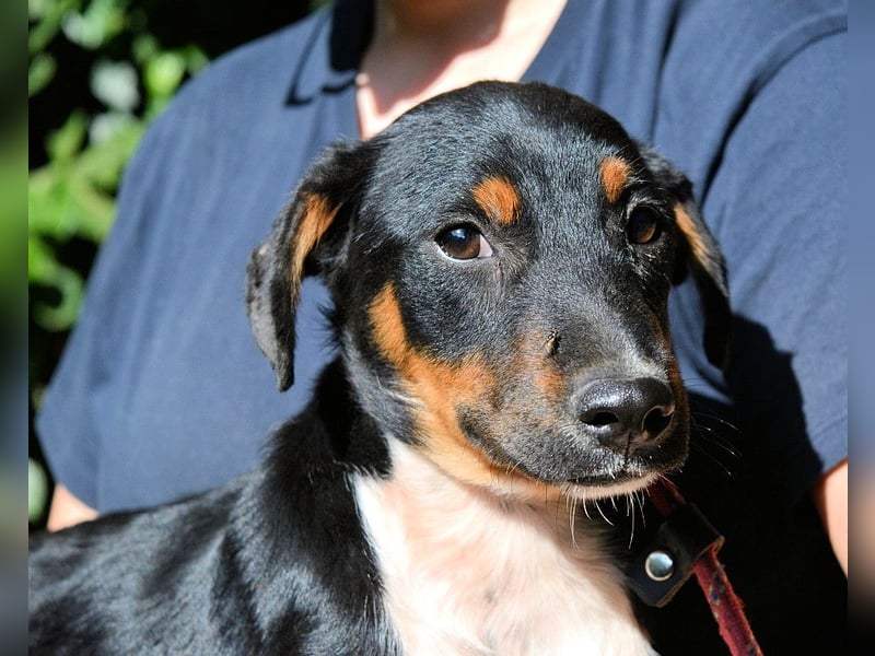 Zelia - Menschen zum Lachen bringen, das ist der Plan