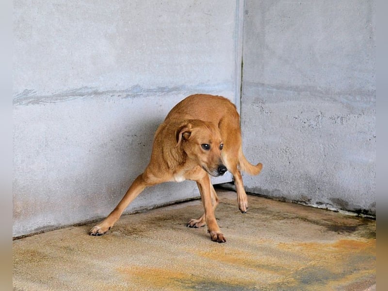 Idalee - Die Wunde namens Zeit