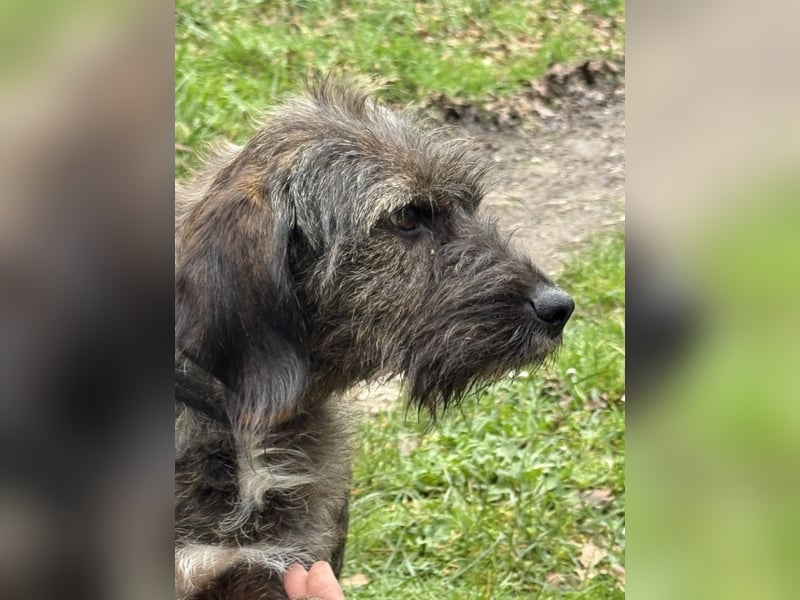 Estella - will dein Fixstern werden