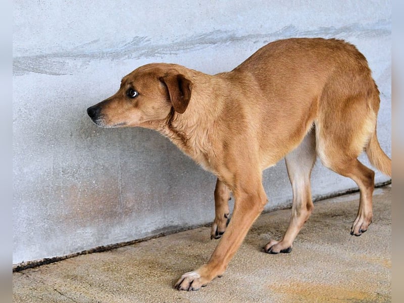 Idalee - Die Wunde namens Zeit