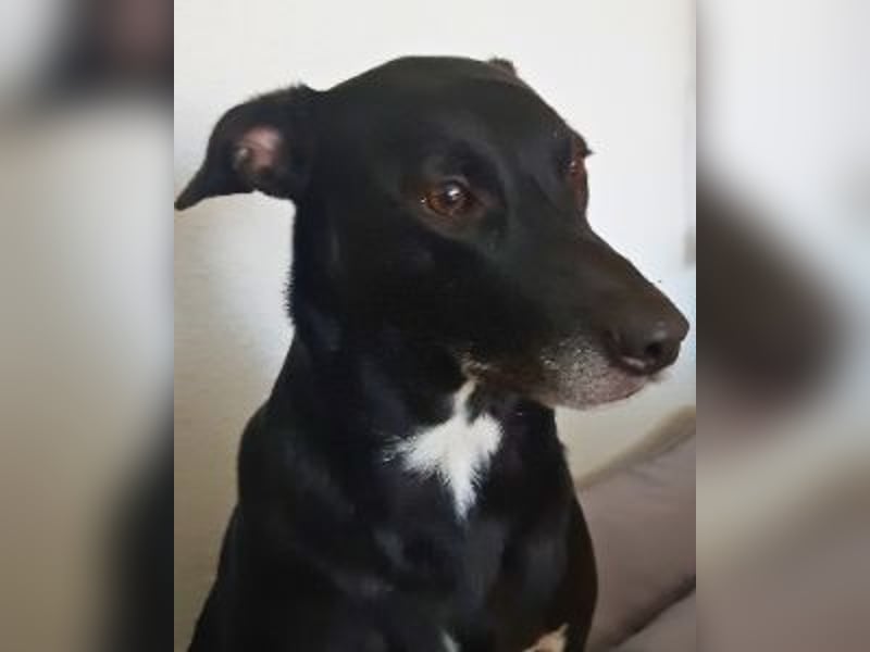 Taya - Manchmal hält das Glück nicht ewig Taya - Manchmal hält das Glück nicht ewig