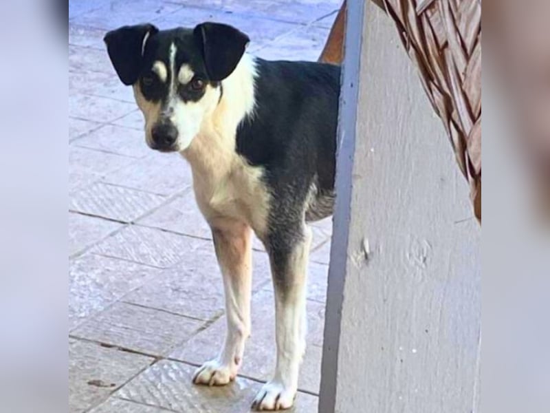 Nikita - Still, übersehen und dabei so besonders