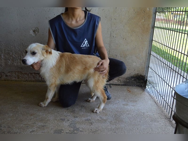 Simbad - Ein verlässlicher Partner...