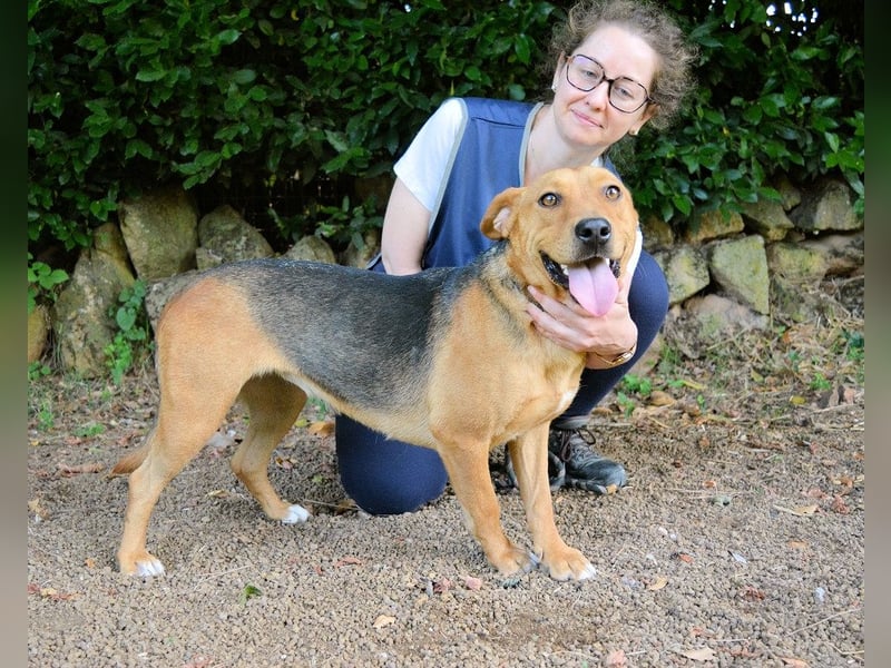 Linnea - Hauptsache ihr großes Herz passt in`s Körbchen