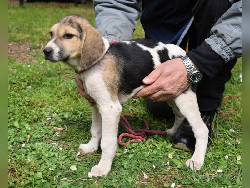 Wasker - Als Mama noch bei uns war