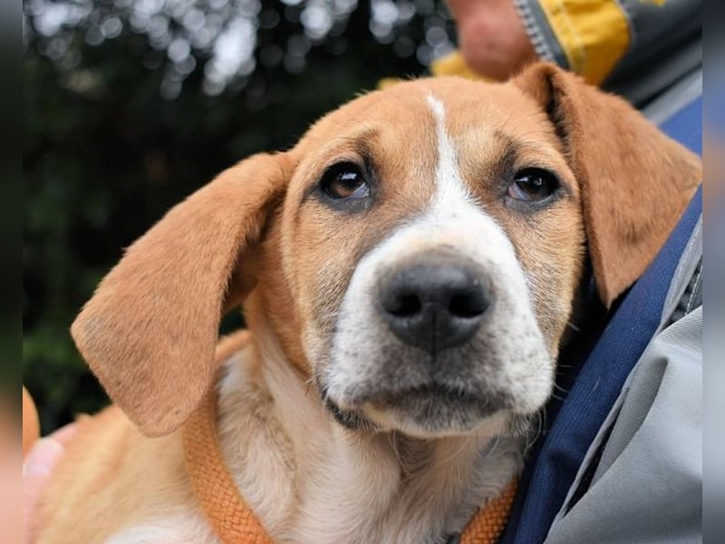 Waylo - Als Mama noch bei uns war