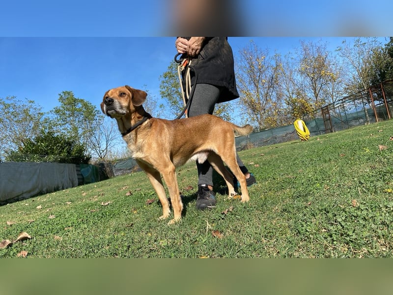 Houdini - Sind Sie Houdinis Houdini?