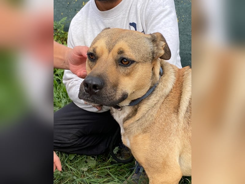 Faudor - Bist du die letzte Station meiner Odyssee?