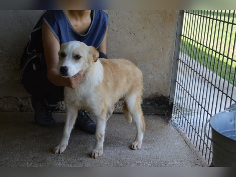 Simbad - Ein verlässlicher Partner...