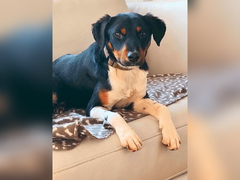 Zelia - Menschen zum Lachen bringen, das ist der Plan