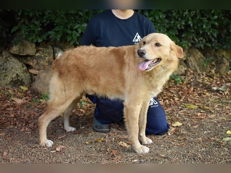 Gibble - Wie ein Wort, das auf der Zunge liegt ...