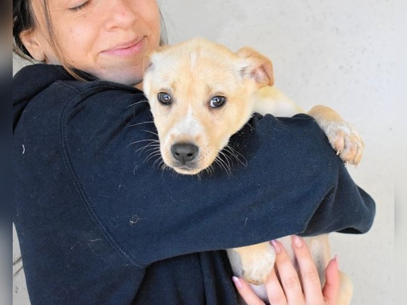 Sniffy - ...und Sirette halten zusammen