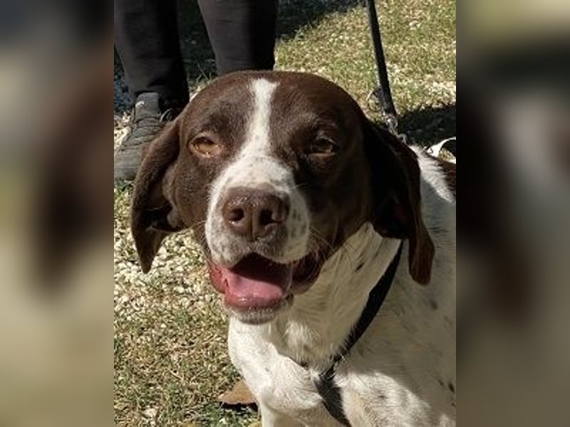 Sandro - Liebster Freigeist sucht Familie (gerne mit Kindern)