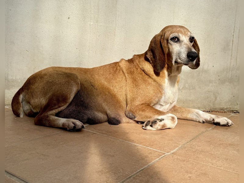 Silke - Zehn Jahre Stärke, jetzt ist sie an der Reihe