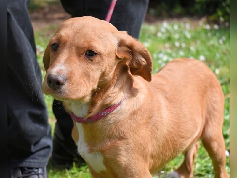 Wixelle - Als Mama noch bei uns war