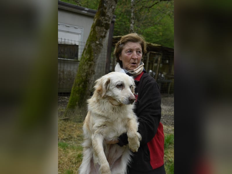 Ruby - wenn aus vorsichtigem Mut echtes Vertrauen wächst