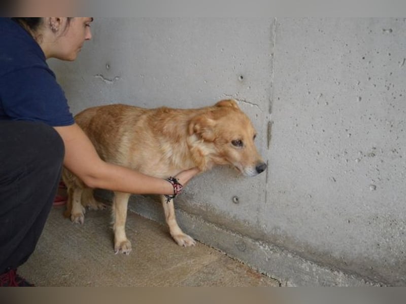 Ferelith - Was wäre, wenn....