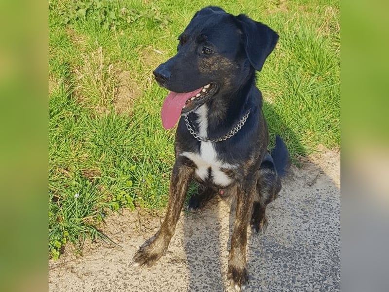 Adam - Sieben Jahre - und noch ein ganzes Leben vor sich