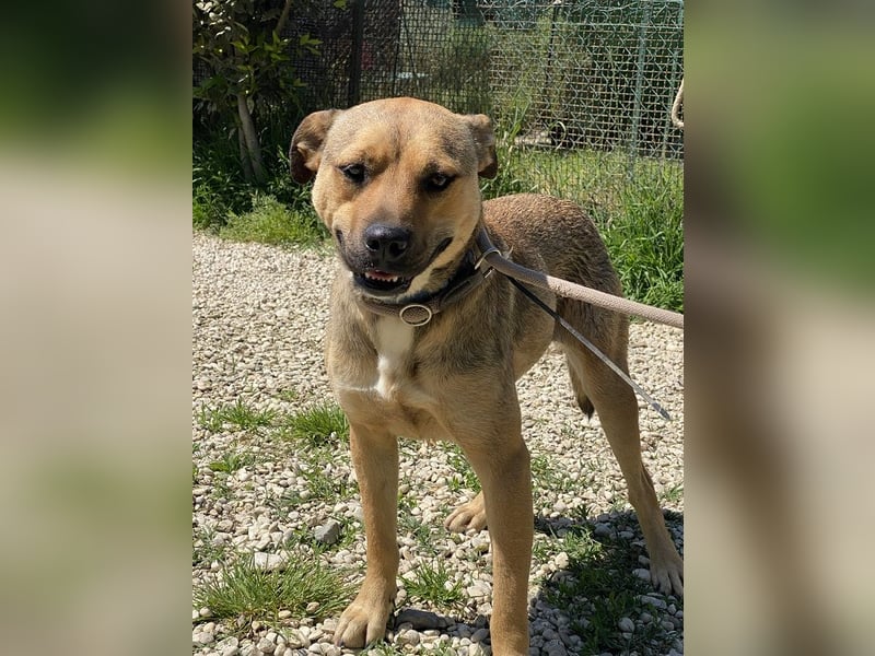 Faudor - Bist du die letzte Station meiner Odyssee?