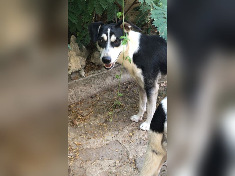 Nikita - Still, übersehen und dabei so besonders