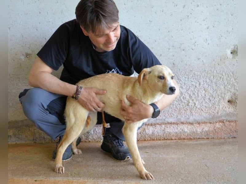 Rodrigue - Ein Anfang, der nie kam