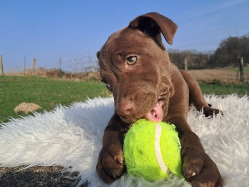 Liva - Also ehrlich, wir sind doch nur Babys!