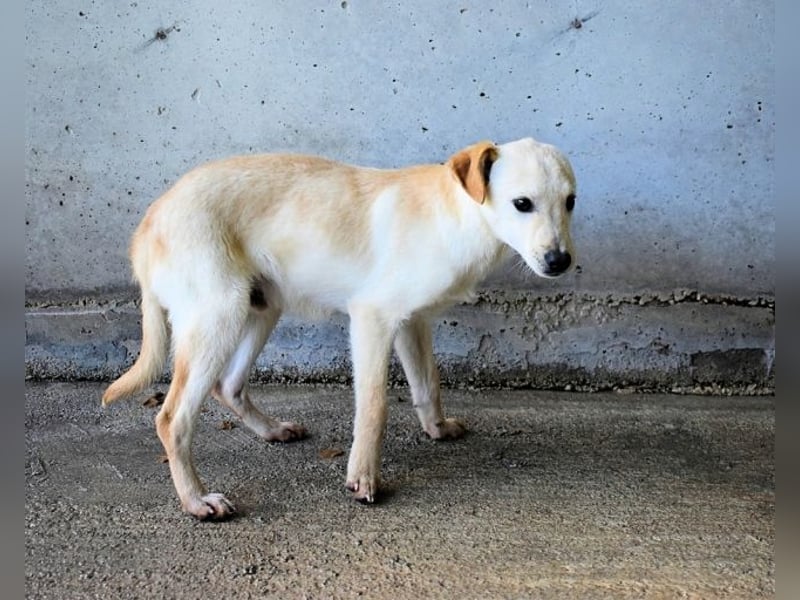 Elvio - seine Mut-Münzen sind fast aufgebraucht