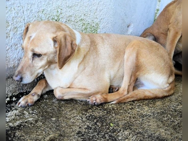 Bendix - wenn du mutig bist, dann bin ich es auch!