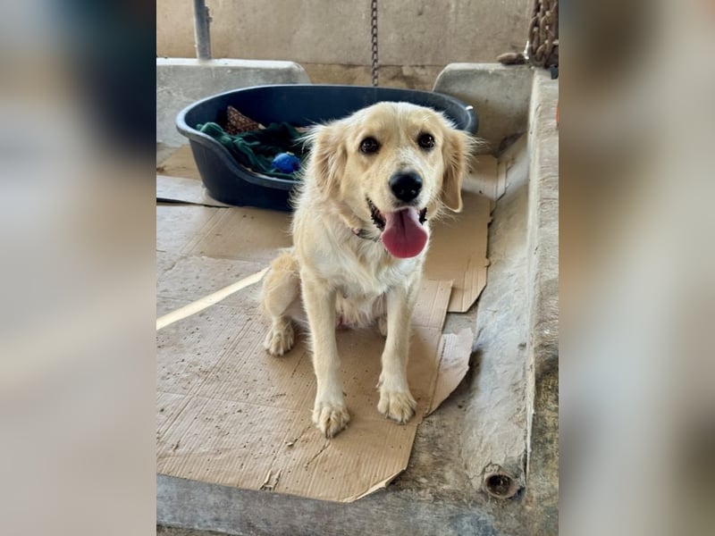 Demy - Das Leben könnte so schön sein!