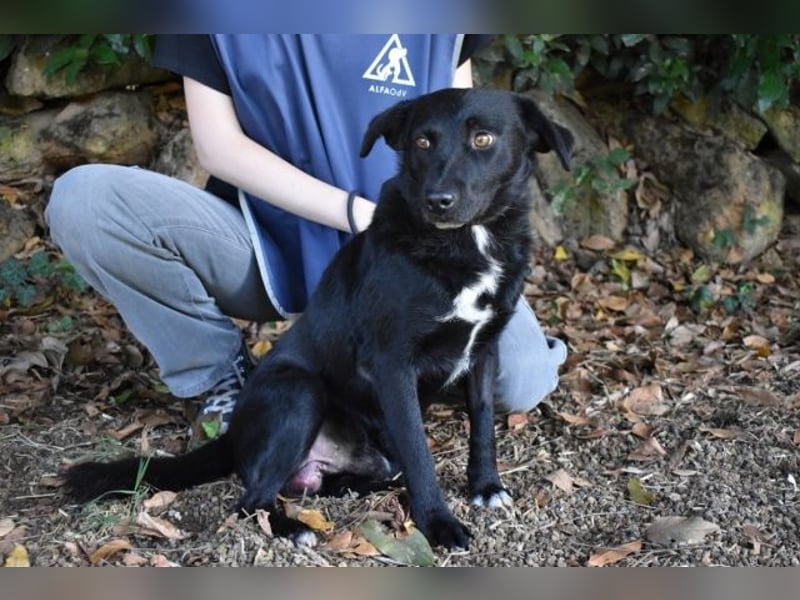 Rafeed - Möge der kleine Drache ihn beschützen