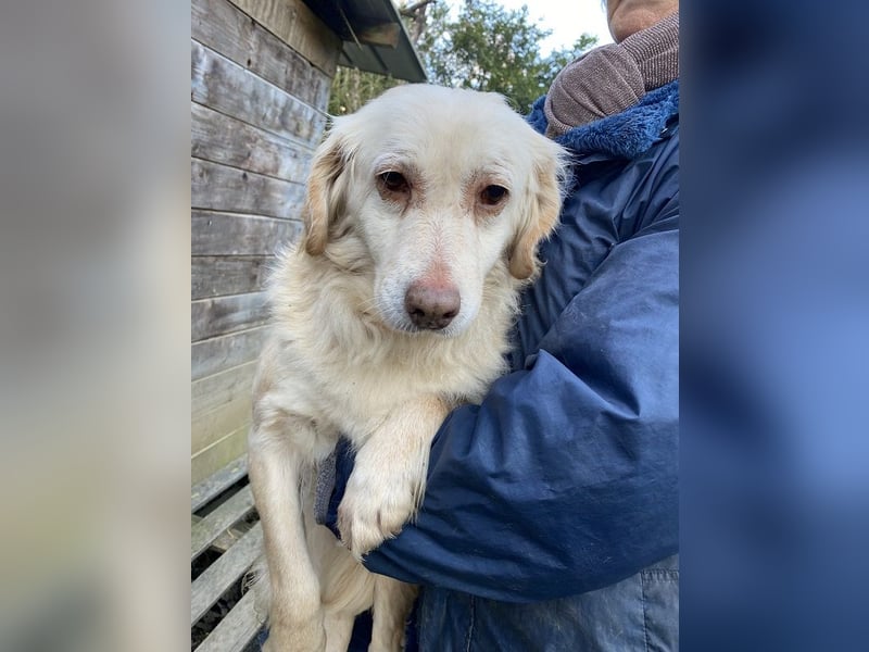 Ruby - wenn aus vorsichtigem Mut echtes Vertrauen wächst