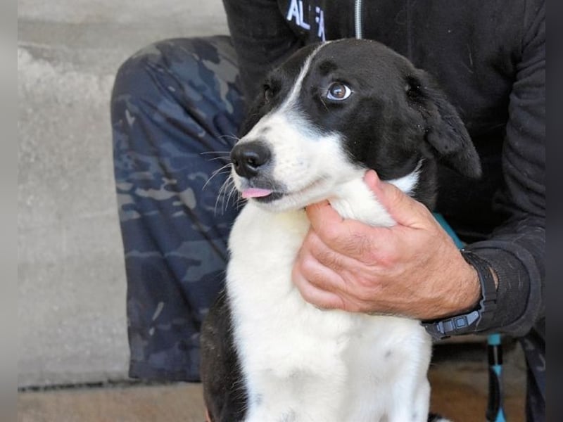 Dorezia - Teamplayerin sucht Stammplatz