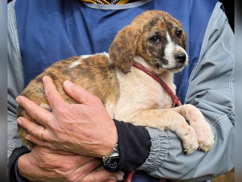 Woola - Als Mama noch bei uns war