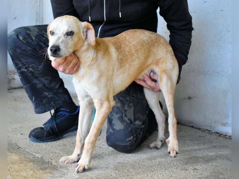 Boris - Wie lange würdest du das aushalten?