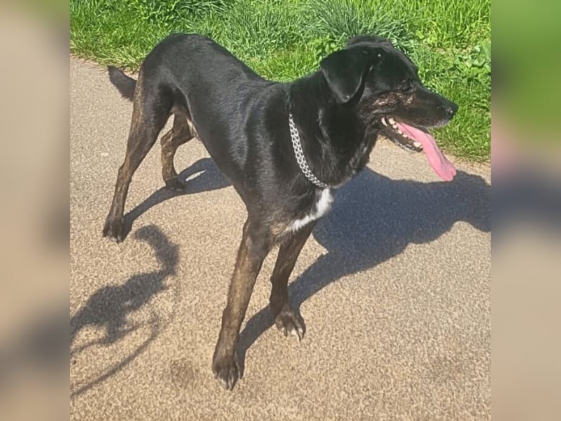 Adam - Sieben Jahre - und noch ein ganzes Leben vor sich