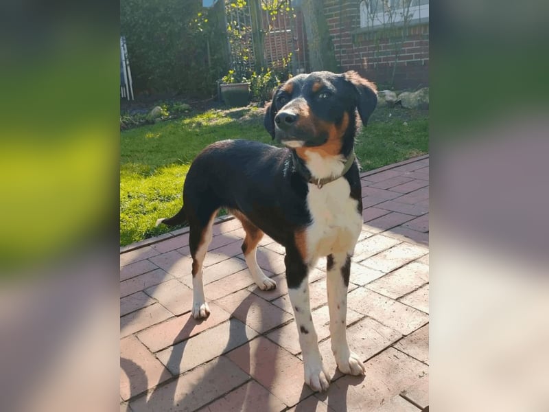 Zelia - Menschen zum Lachen bringen, das ist der Plan