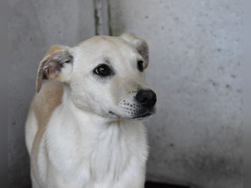 Elaro - gesucht: ein Post-it mit "Sicherheit"