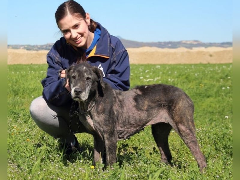Gweni - SOS - Hoffnung auf ein Ende der Odyssee