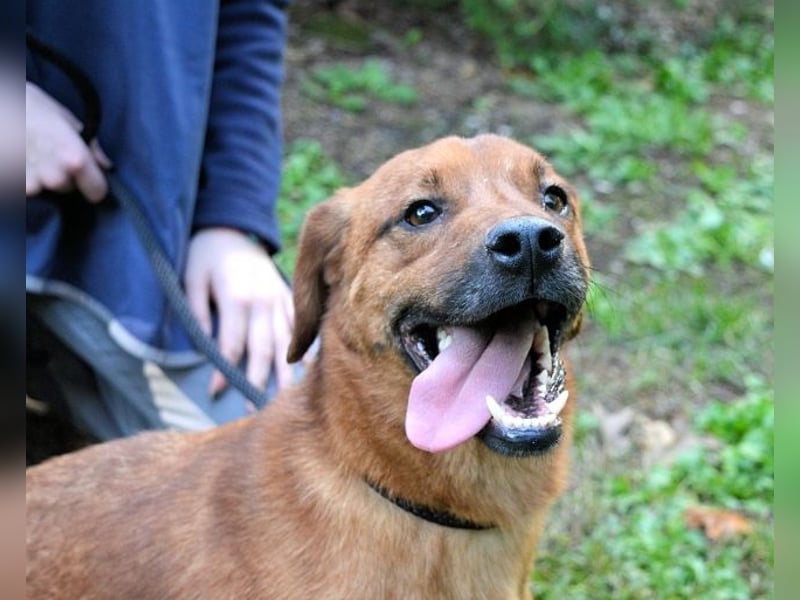 Monaldo - In der Ruhe liegt die Kraft!