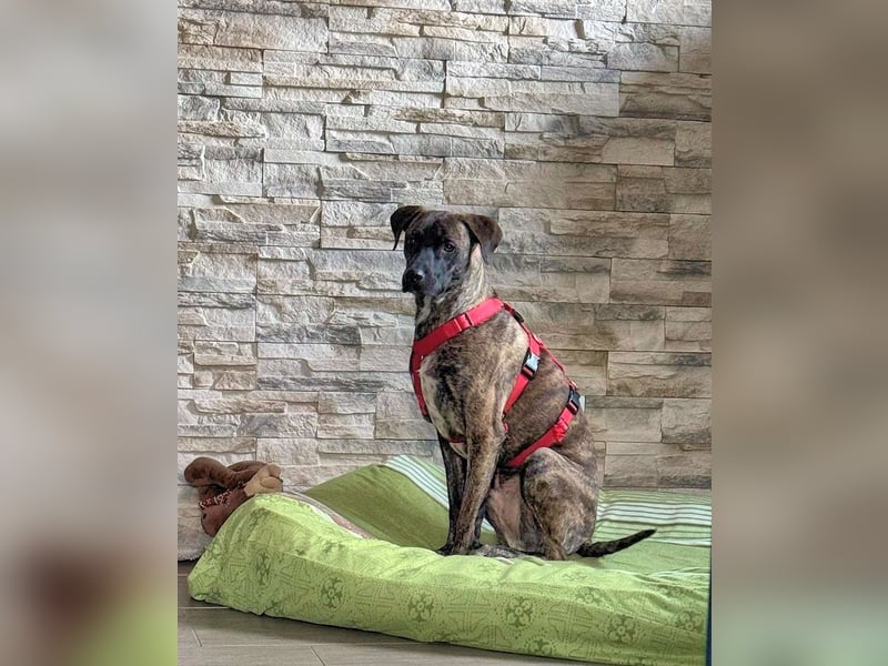 Branson - taut langsam auf und sucht Menschen mit Zeit