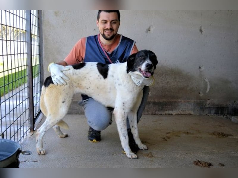 Lorianne - Diplomierte Zuhörerin sucht Sofa & Sonne