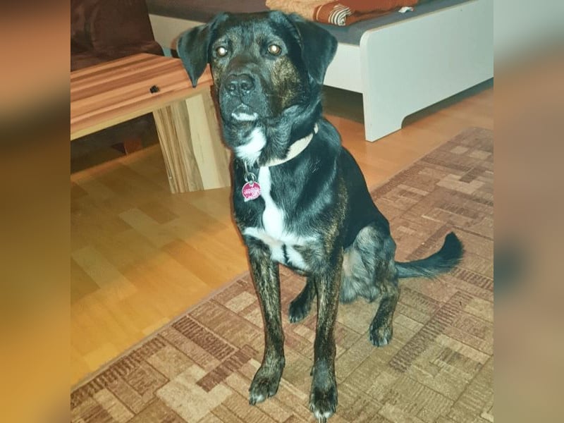 Adam - Sieben Jahre - und noch ein ganzes Leben vor sich