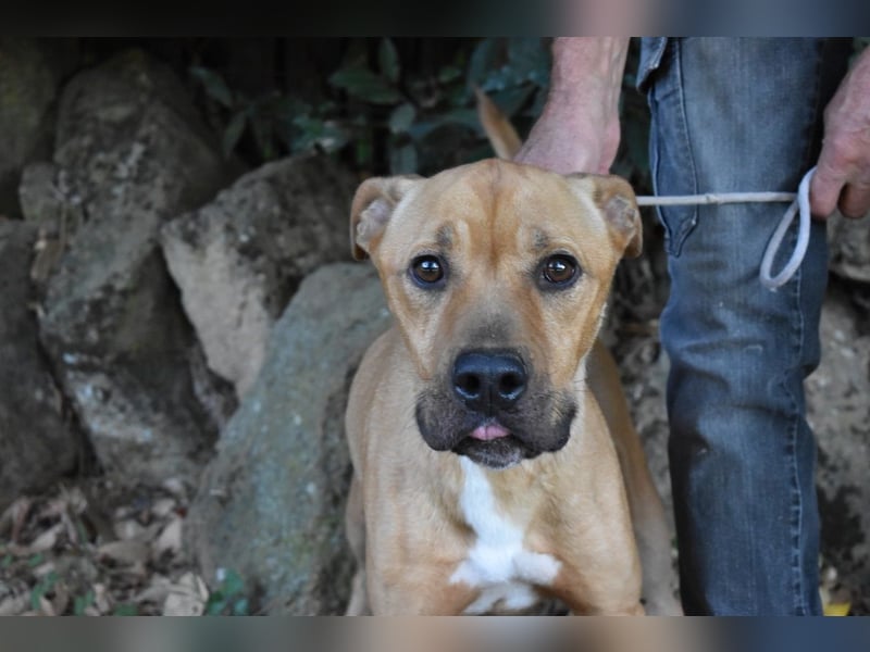 Moises - Wie kannst Du sein?