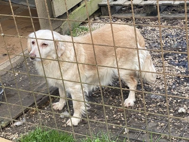 Ruby - Vom Dunkel ans Licht