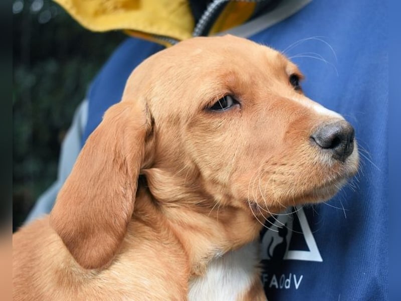 Wixelle - Als Mama noch bei uns war