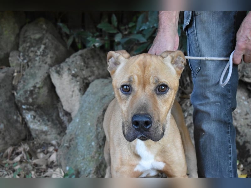 Moises - Wie kannst Du sein?